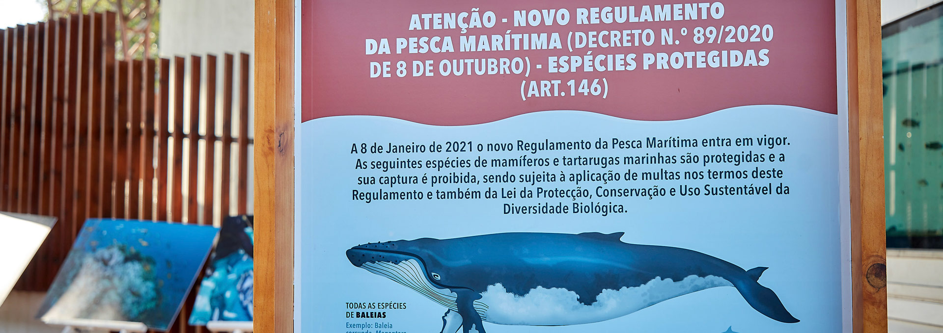 0165_Conferencia-da-Biodiverisidade-Marinha-Edicao-01_2023