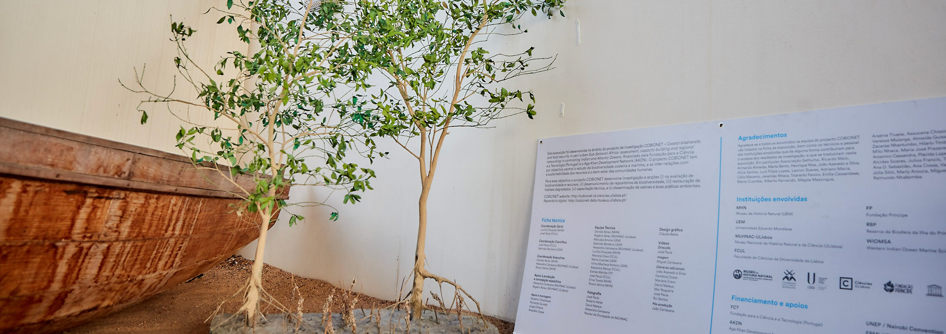 0166_Conferencia-da-Biodiverisidade-Marinha-Edicao-01_2023