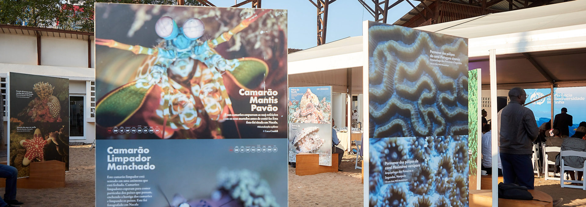 0181_Conferencia-da-Biodiverisidade-Marinha-Edicao-01_2023