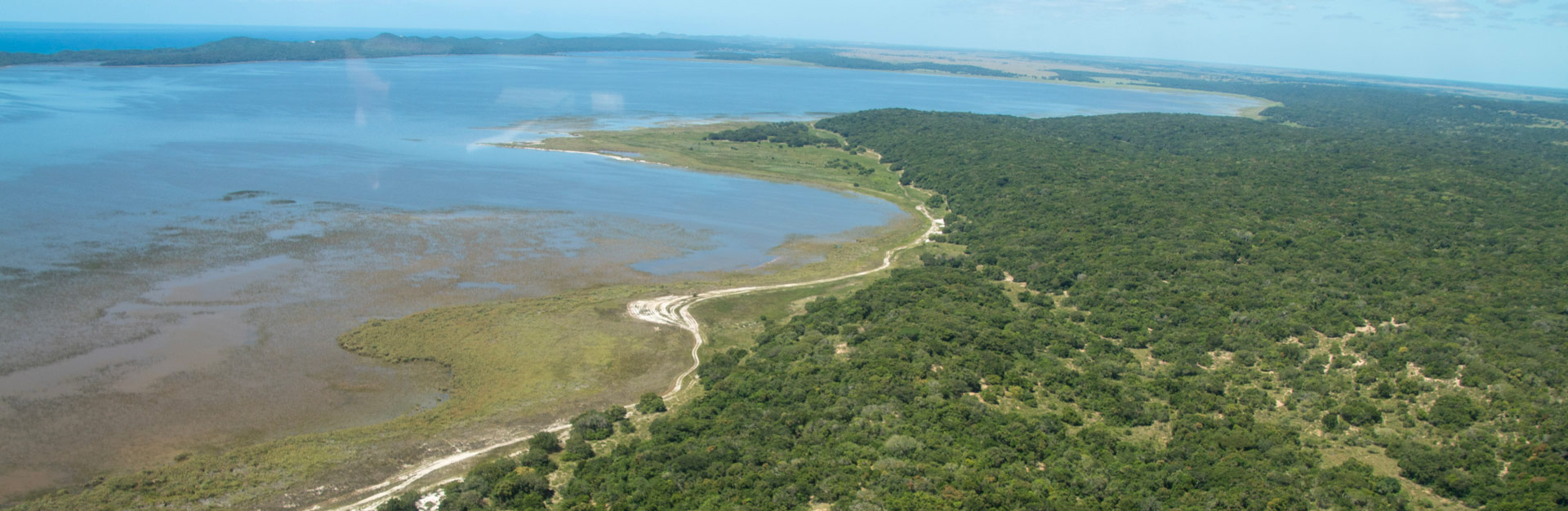 Assistência Técnica III