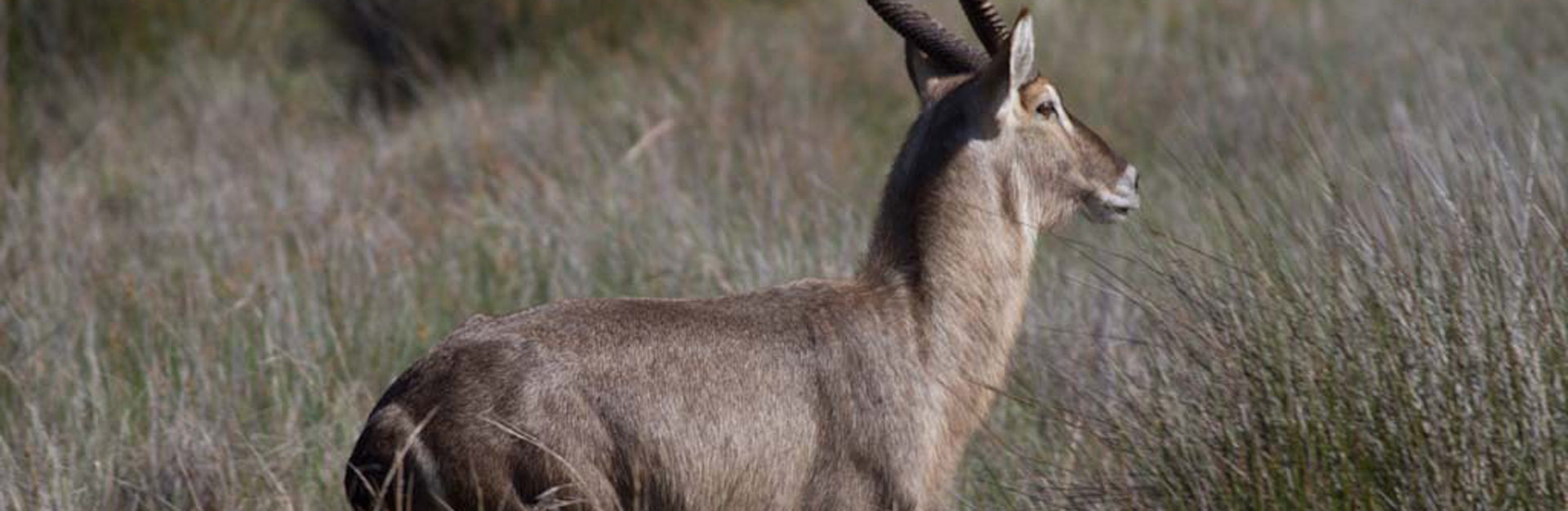 Assistência Técnica II