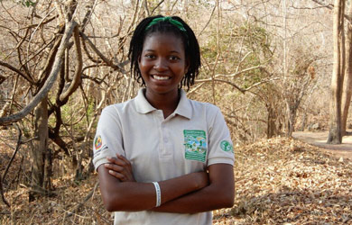 Do ‘spoiler’ ao game changer: a viagem da Sofia com o PLCM