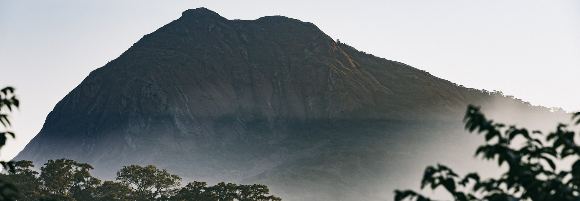 Programa de Resposta a Emergências Climáticas – BIO-CERP