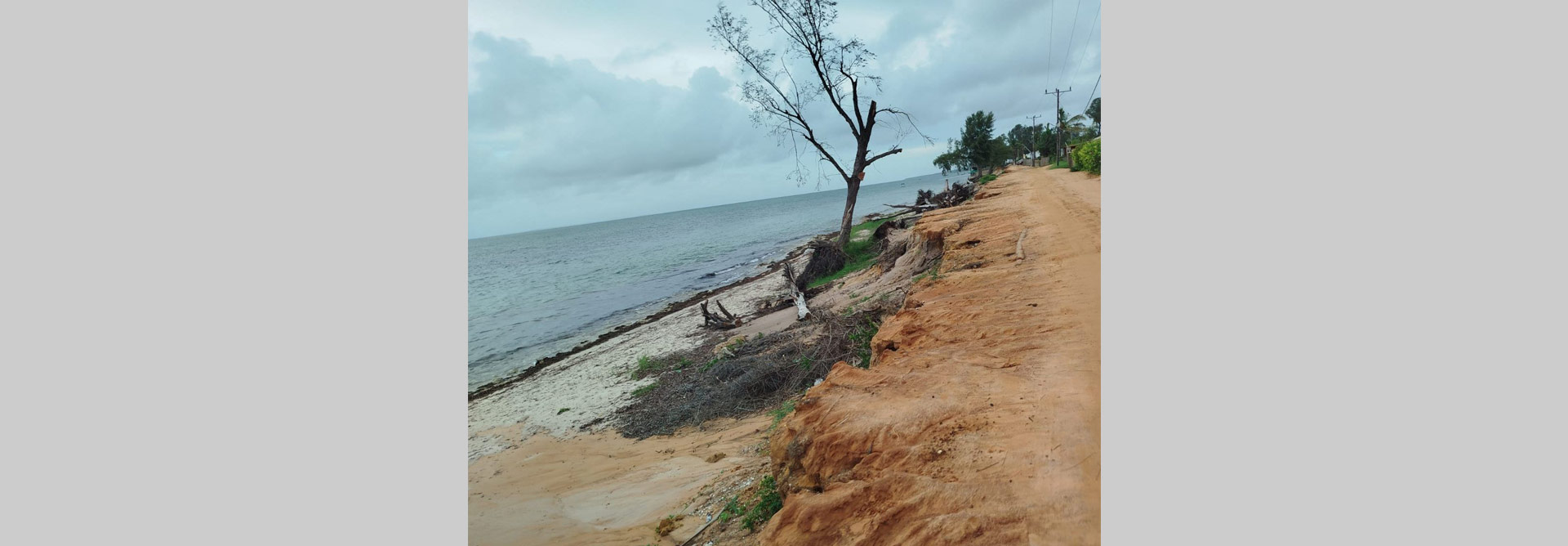 Programa de Resposta a Emergências Climáticas – BIO-CERP