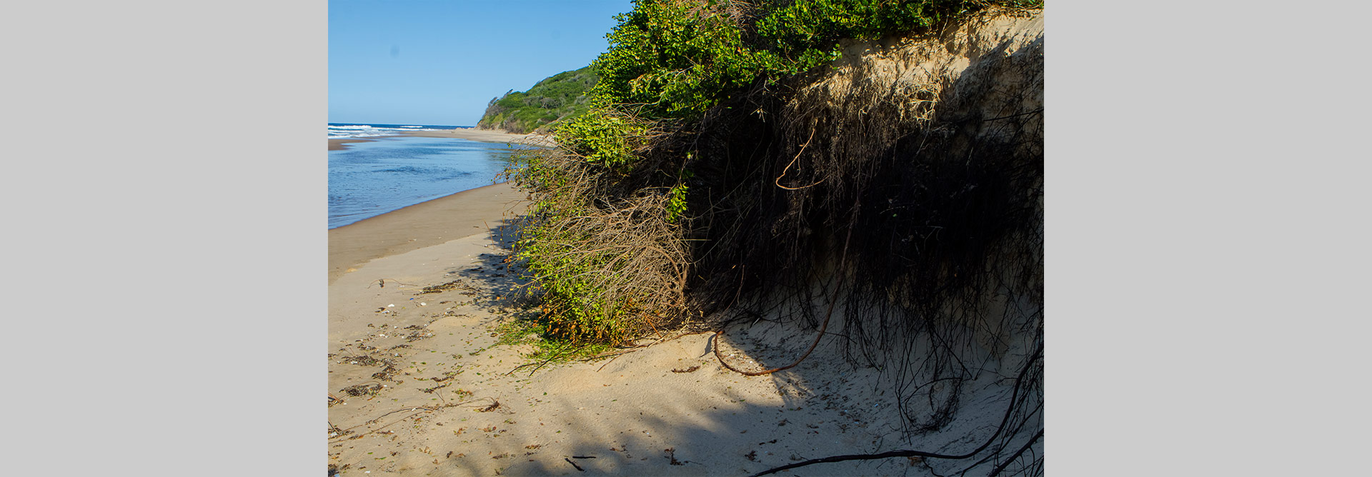 Programa de Resposta a Emergências Climáticas – BIO-CERP