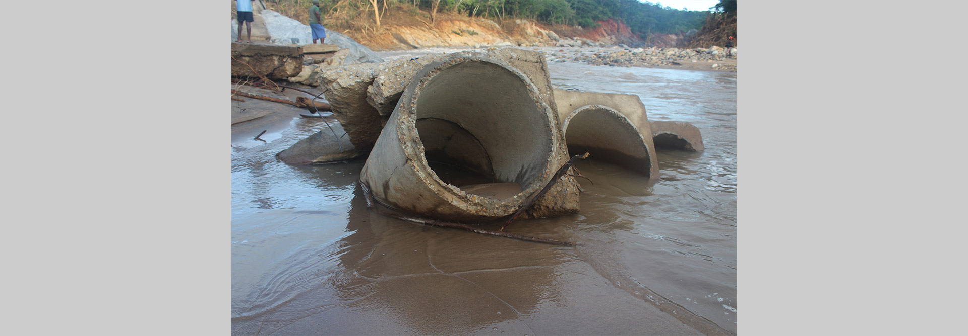 Programa de Resposta a Emergências Climáticas – BIO-CERP