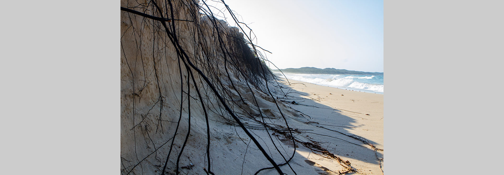 Programa de Resposta a Emergências Climáticas – BIO-CERP
