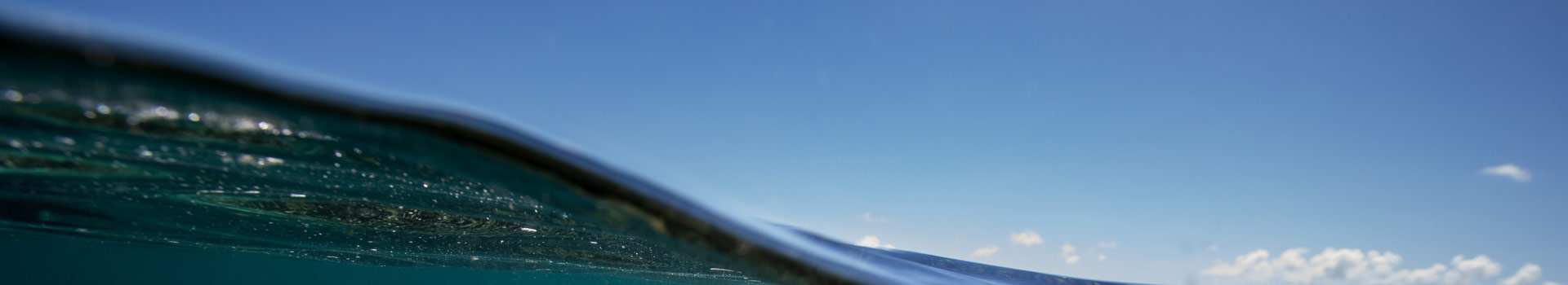 Objectivo do Programa